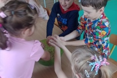 IMG_20250401_081220993_MFNR