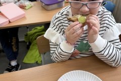 IMG_0581