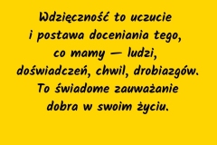 Wdzięczność to uczucie i postawa doceniania tego, co mamy — ludzi, doświadczeń, chwil, drobiazgów. To świadome zauważanie dobra w swoim życiu. - 1