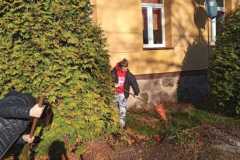 IMG-20211028-WA0010